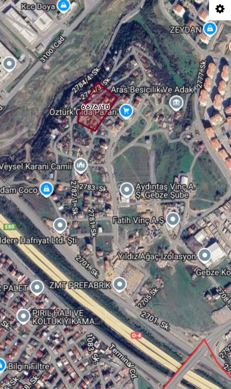 Fotoğraf